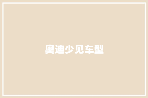 奥迪少见车型