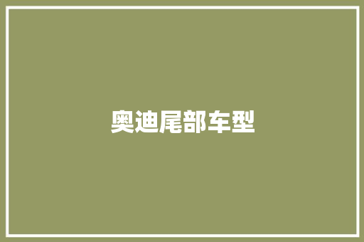奥迪尾部车型