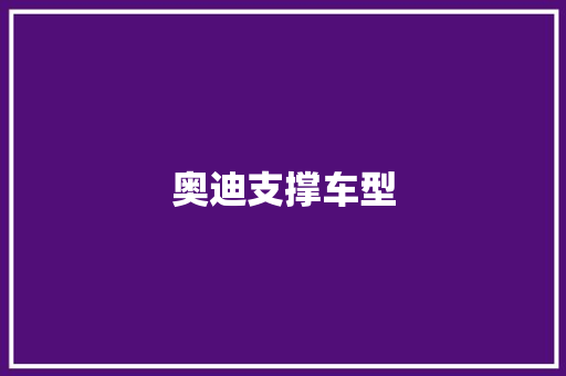 奥迪支撑车型