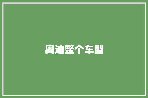 奥迪整个车型 底盘配件