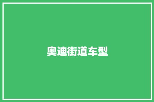 奥迪街道车型
