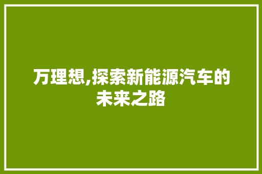 万理想,探索新能源汽车的未来之路