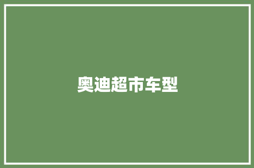奥迪超市车型