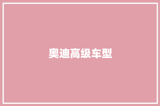 奥迪高级车型