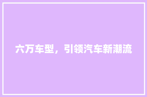 六万车型，引领汽车新潮流