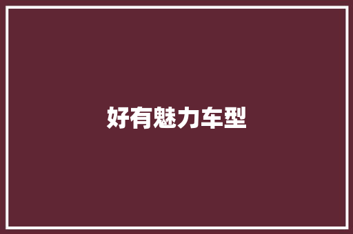 好有魅力车型