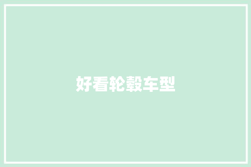 好看轮毂车型