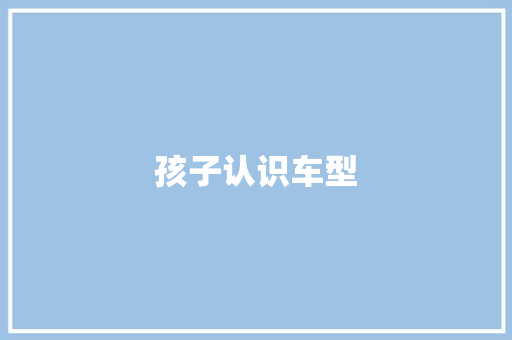 孩子认识车型