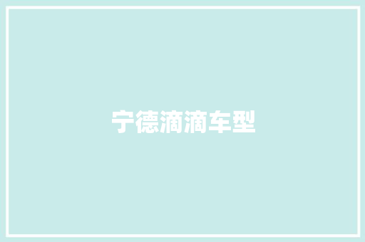 宁德滴滴车型