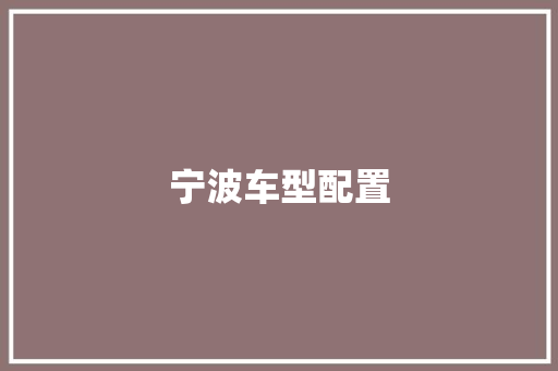 宁波车型配置