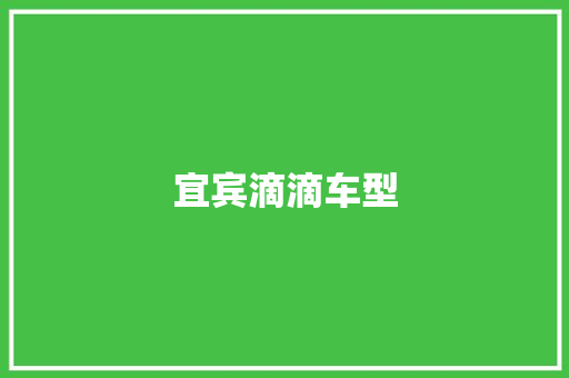 宜宾滴滴车型