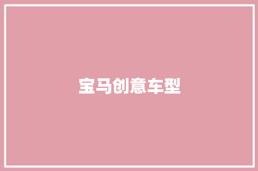宝马创意车型