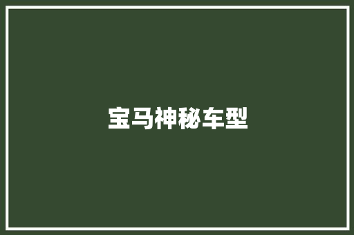 宝马神秘车型