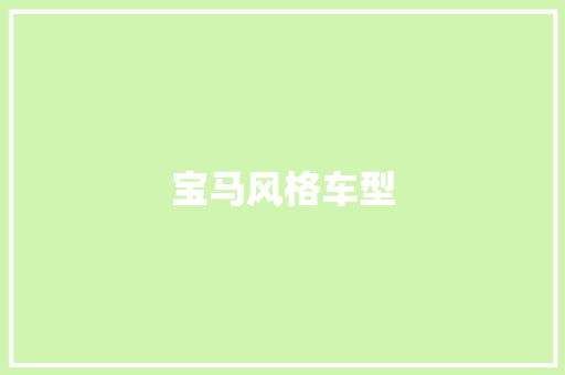 宝马风格车型