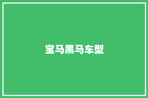 宝马黑马车型