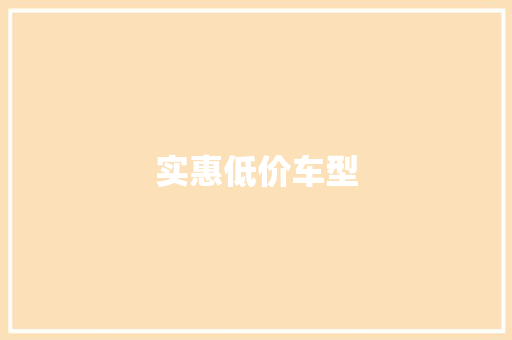实惠低价车型