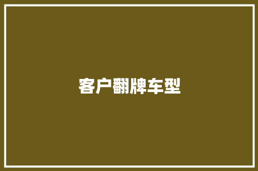 客户翻牌车型