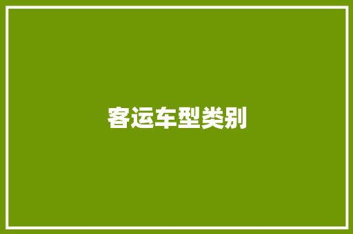 客运车型类别