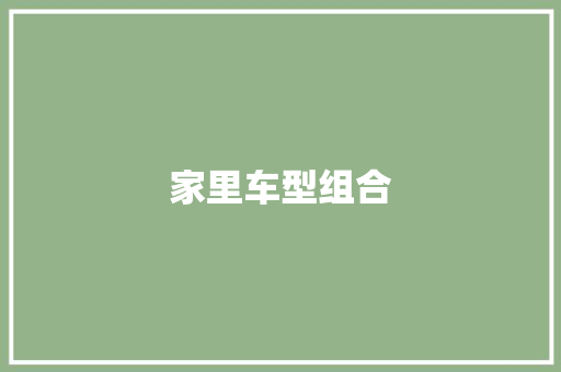 家里车型组合