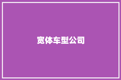 宽体车型公司