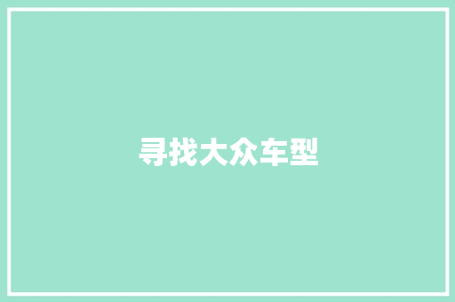 寻找大众车型