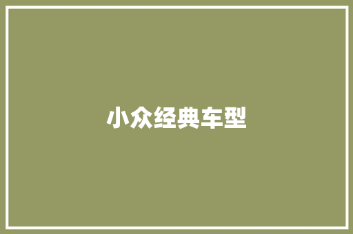 小众经典车型