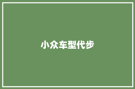 小众车型代步
