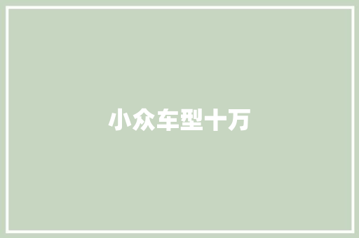 小众车型十万