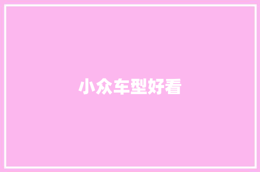 小众车型好看