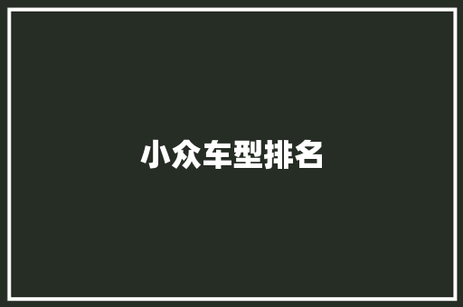 小众车型排名