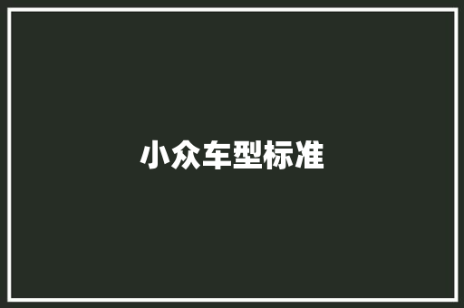 小众车型标准
