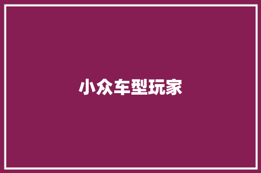 小众车型玩家