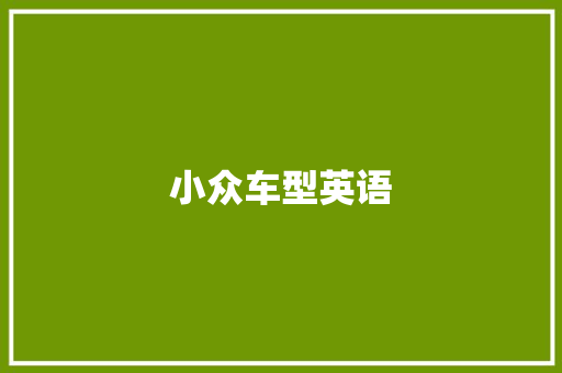 小众车型英语