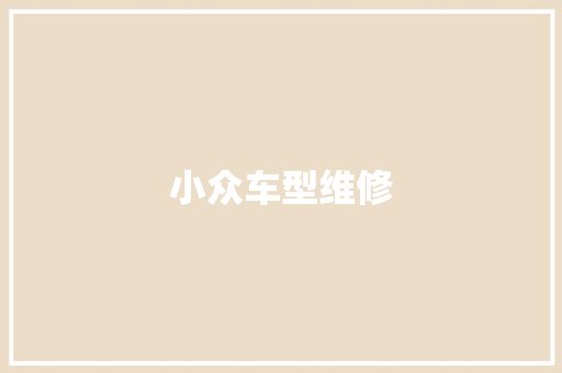 小众车型维修