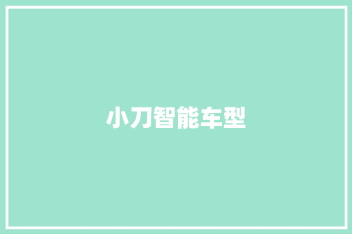 小刀智能车型