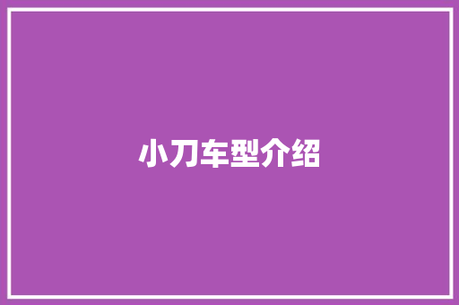 小刀车型介绍