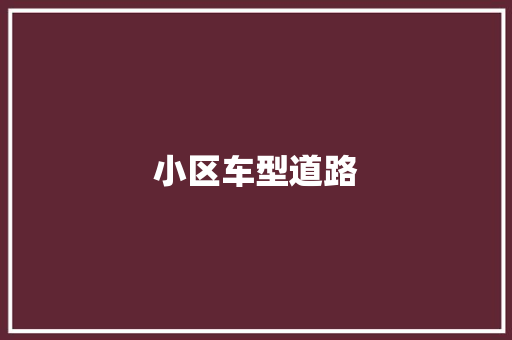 小区车型道路