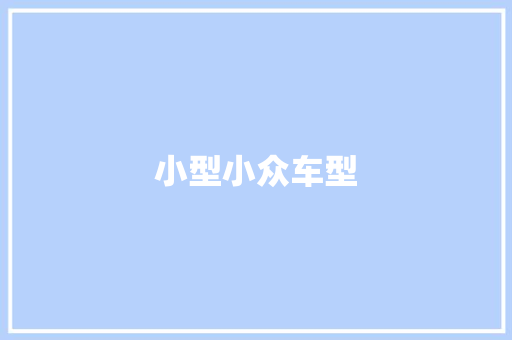 小型小众车型