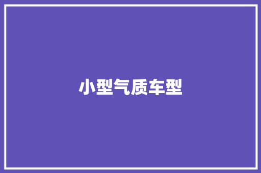 小型气质车型
