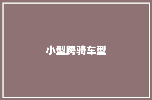 小型跨骑车型