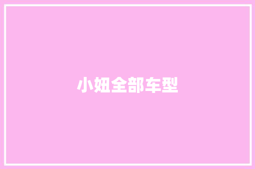 小妞全部车型