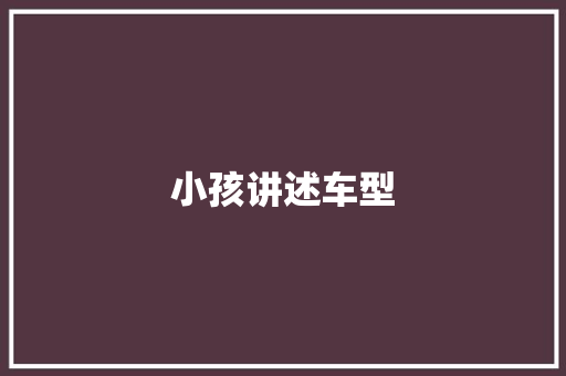 小孩讲述车型