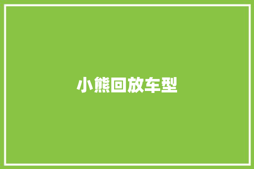 小熊回放车型