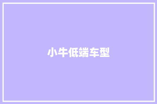 小牛低端车型