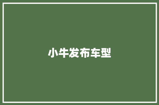 小牛发布车型
