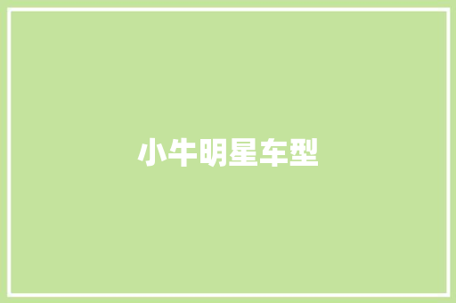 小牛明星车型