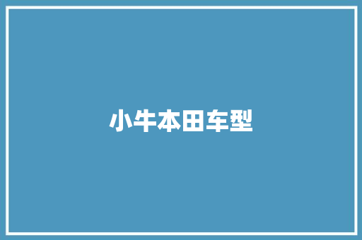 小牛本田车型