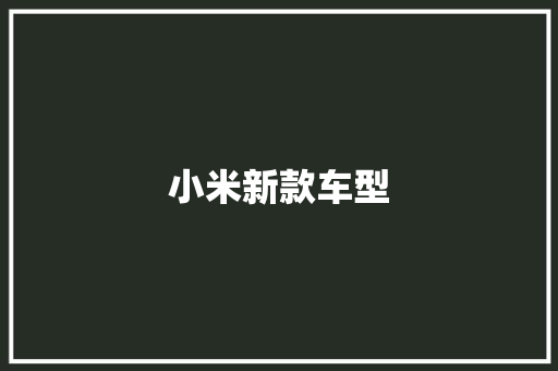 小米新款车型