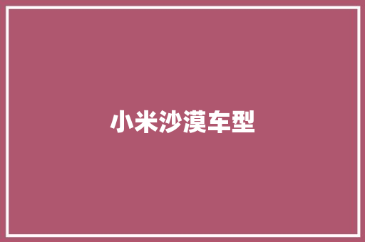 小米沙漠车型