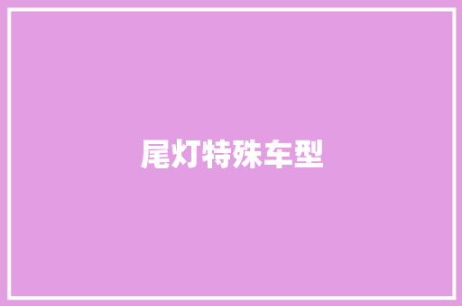 尾灯特殊车型